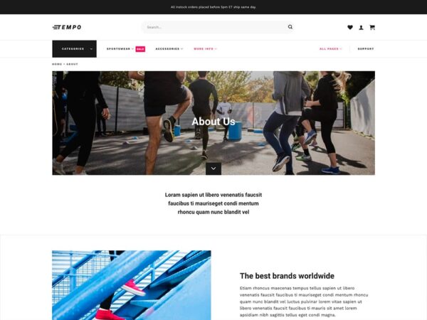 Tempo Multi Layout Flatsome WooCommerce Demo Template • About Page